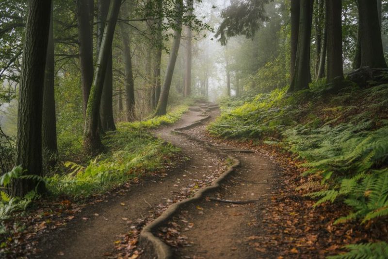 Discover the Majestic Isälvsleden Trail in Sweden’s Wilderness Embark on a Thrilling Journey Through Sweden’s Untouched Wilderness Hiking Glacial Landscapes and Ancient Forests in the Isälvsleden Trail - Discover the Majestic Isälvsleden Trail in Sweden's Wilderness