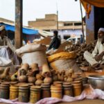 India’s Tourism Faces Setbacks Amid Middle East Tensions – Middle East Crisis Poses Challenge For Tourism & Trade In India Ahead Of Holi – First India – March 1, 2026