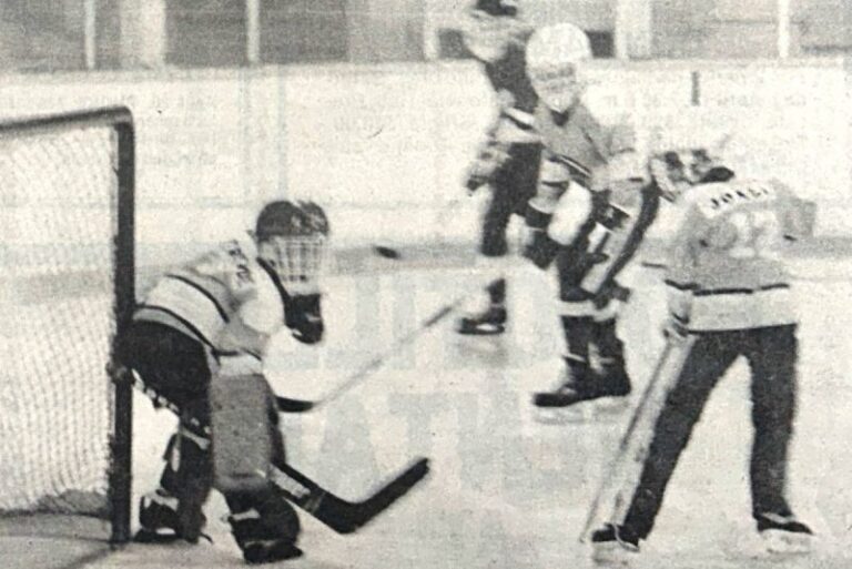 Youbou Residents Demand Action Amid Dust Crisis and Wildlife Loss – Flashback: Dust-up With TimberWest, Another Elk Killed, Street Dubbed ‘Pothole Lane’