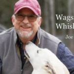 Transforming Dog Reactivity with the Look At That Game – Teaching Calmness Through The Look At That Game