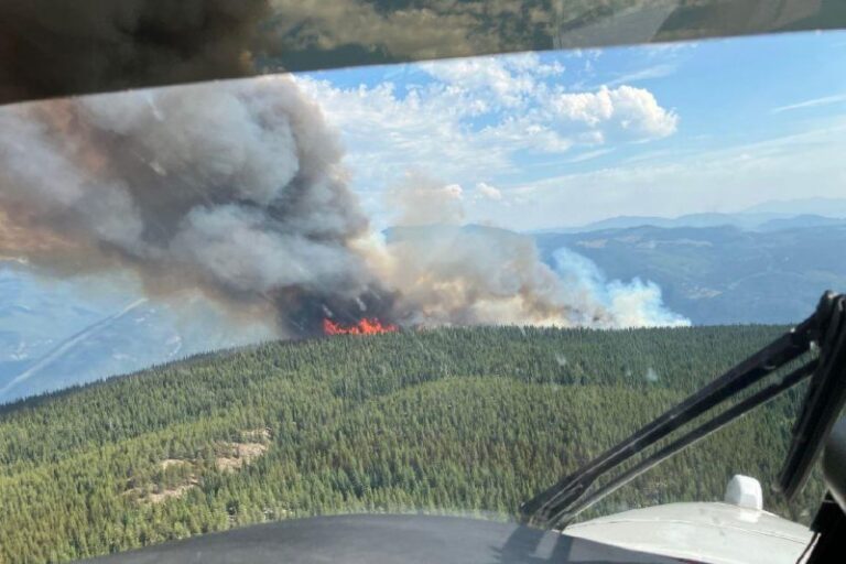 Ezra Creek Wildfire Near Castlegar Stabilizes Overnight – VIDEO: Wildfire Near Castlegar Held To 116 Hectares Overnight
