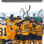 Lake Cowichan Appollos Set for Senior Hockey Tryouts – Appollos Hosting Senior Hockey Tryouts