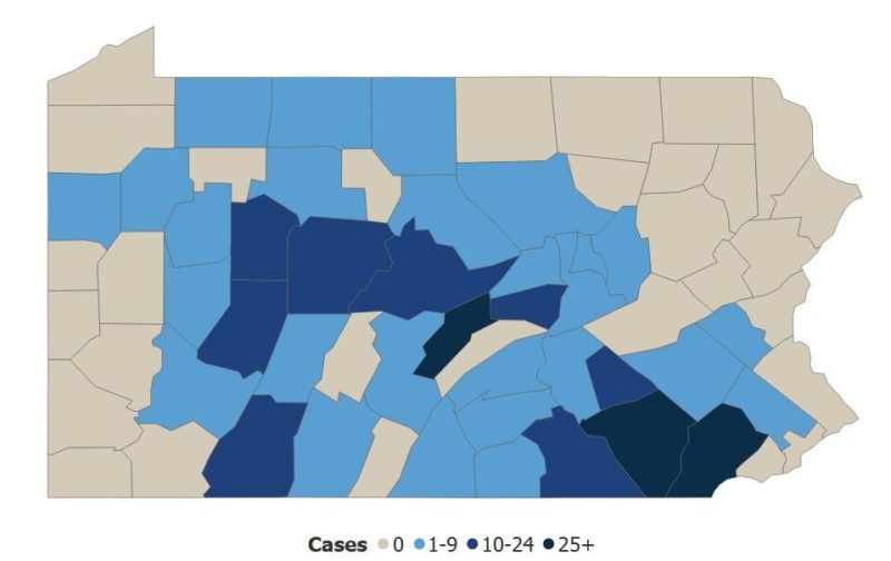 Measles Outbreak Alert Issued in Cumberland County – Measles Case Reported In Cumberland County Measles case reported in Cumberland County - Measles Outbreak Alert Issued in Cumberland County - Measles Case Reported In Cu...