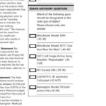 Idaho’s November Ballot Includes State Gun Decision – ‘What Should Be The State Gun?’ Idaho Voters Asked To Decide In November
