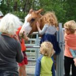 Join the Fun at Saanichton’s Second Annual Trick or Trot – Equestrian Fun Planned For Halloween-themed Community Event In Saanichton