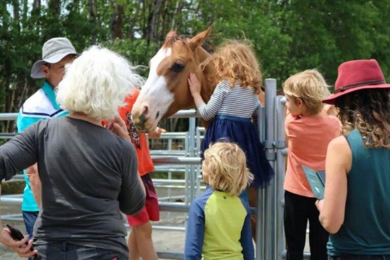 Join the Fun at Saanichton’s Second Annual Trick or Trot – Equestrian Fun Planned For Halloween-themed Community Event In Saanichton