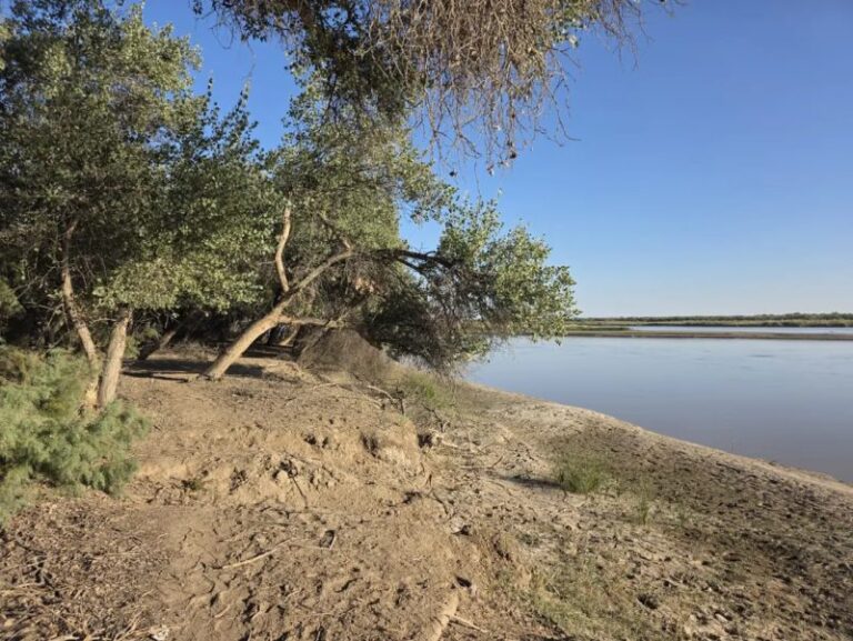 Uzbekistan’s Vital Land Restoration Efforts Target Three Regions – Uzbekistan Assesses Land Restoration Potential In Three Regions
