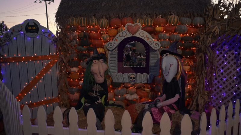 Mr. Bones Pumpkin Patch Returns with Spooktacular Activities – Mr. Bones Pumpkin Patch Regresa Con Actividades Ideales Para Halloween Mr. Bones Pumpkin Patch regresa con actividades ideales para Halloween - Mr. Bones Pumpkin Patch Returns with Spooktacular Activities - Mr. Bones Pumpkin...